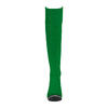 KIT UHLSPORT PREDICTION GOALKEEPER BUNDLE (verde)